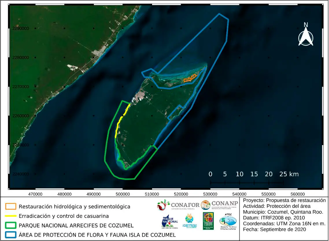 Cozumel sin casuarina - FFCM