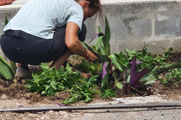 reforestacion-hospitalplaya-moce-abril21-7