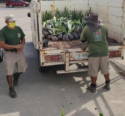 reforestacion-hospitalplaya-moce-abril21-8