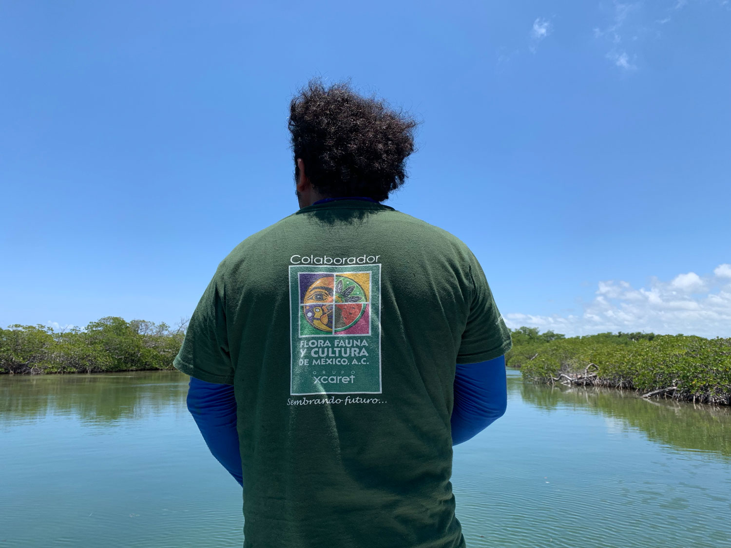 Rehabilitación de manglares en Quintana Roo