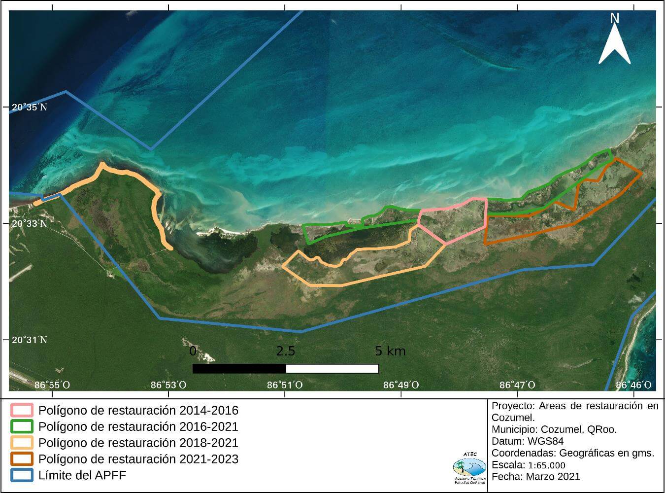 Manglares y casuarina en Isla de Cozumel 2014-2020 - FFCM