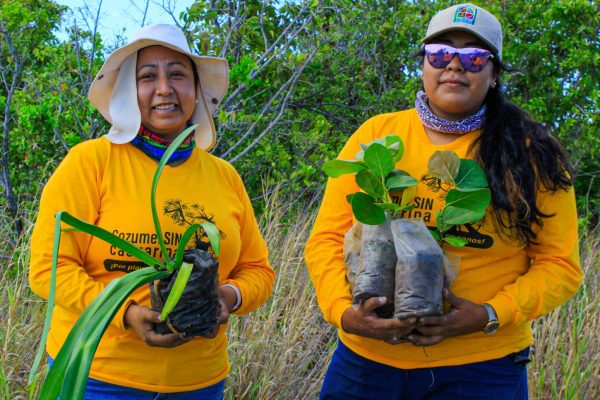 reforestacion cozumel-2022--159