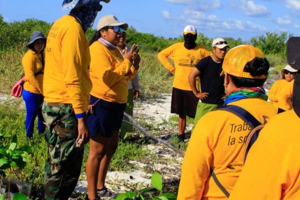 reforestacion cozumel-2022--77